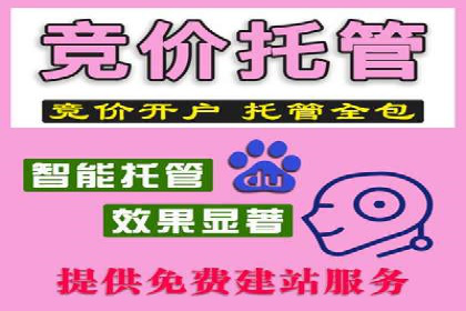 sem托管服务案例：如何实现广告投放精准定位