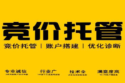 百度推广优化策略：成功案例解析